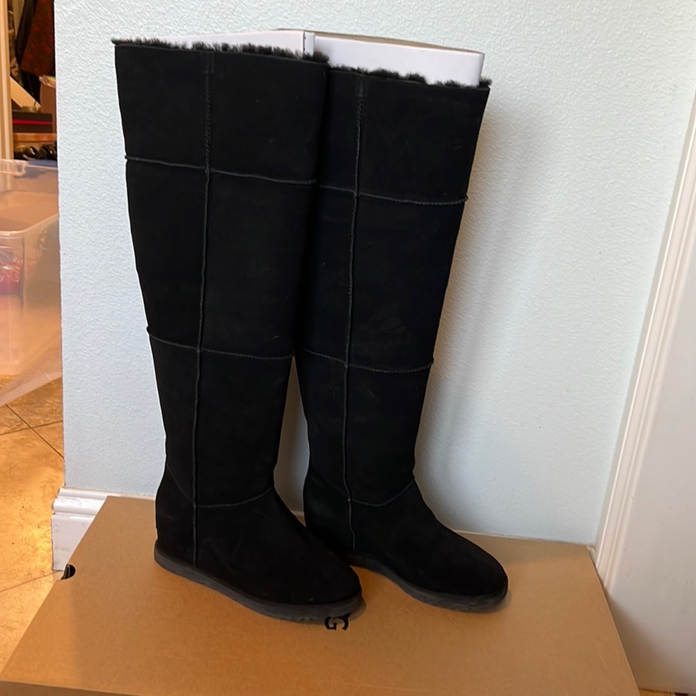 NWT Knee High Ugg Wedge Boots